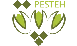 فروشگاه اینترنتی پسته 