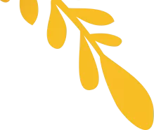  آنفالویاب اینستاگرام