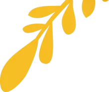 بهترین برنامه آنفالویاب اینستاگرام